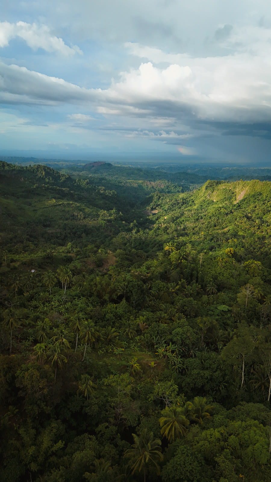 Aerial view of a mountain valley reaching the coast at Malabog, near Davao City